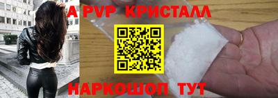 кокс Кингисепп