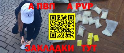 кокс Кингисепп